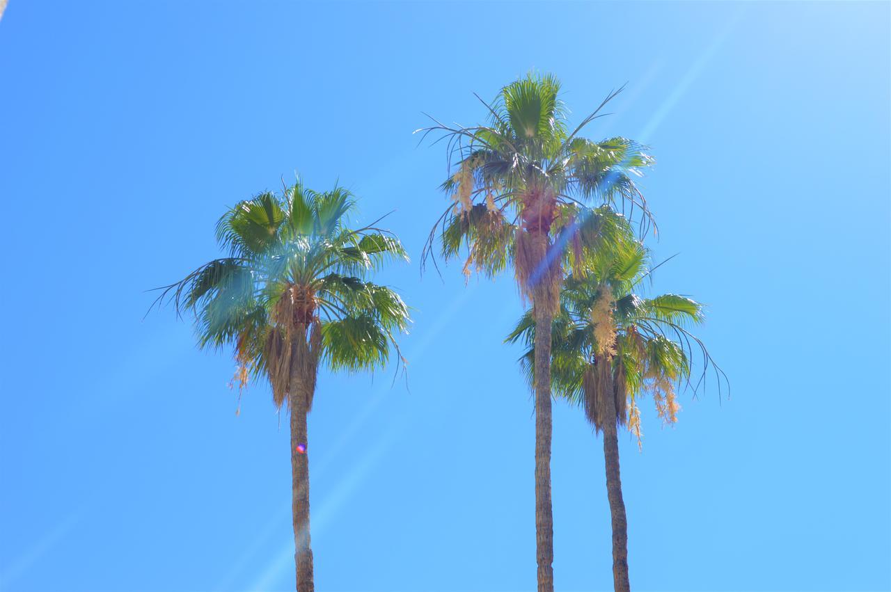 Musicland Hotel Palm Springs Eksteriør billede