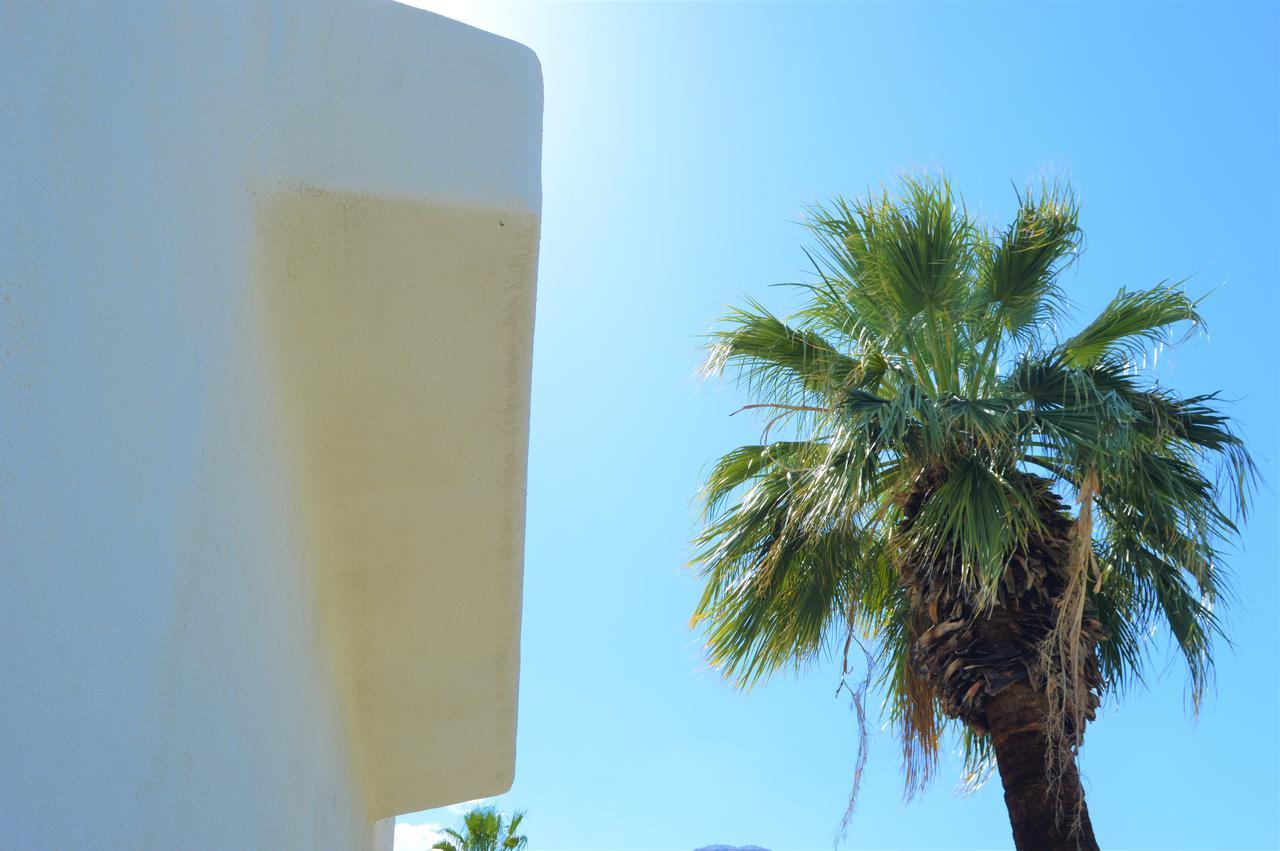 Musicland Hotel Palm Springs Eksteriør billede